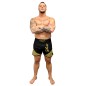 Short de MMA BG Brave Art - SMBGBA Short de MMA BG Brave Art - SMBGBA