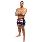 Muay Thaï Short Lion Brave Art - THSHLI Muay Thaï Short Lion Brave Art - THSHLI
