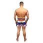 Brave Art Muay Thai Shorts – White, Blue & Red