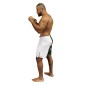 Short de MMA DZ Brave Art X Mohamed Saïd Maalem - DZMSM Short de MMA DZ Brave Art X Mohamed Saïd Maalem - DZMSM