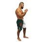 Short de MMA DZ Brave Art X Mohamed Saïd Maalem - DZMSM Short de MMA DZ Brave Art X Mohamed Saïd Maalem - DZMSM