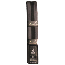 Ceinture JJB Enfant Brave Art Grise et Noire – Qualité & Progression Structurée