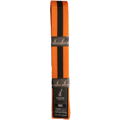 Ceinture JJB Enfant Brave Art Orange et Noire – Progression & Résistance Premium