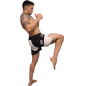 Short de MMA Vale Tudo Brave Art - BASHVT23 Short de MMA Vale Tudo Brave Art - BASHVT23
