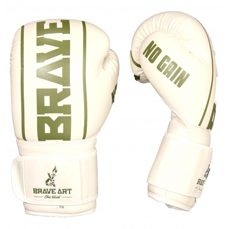 Gants de Boxe PU  Brave Art Classic One Blanc Vert - BAPUWG
