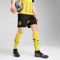 Borussia Dortmund Men’s Official Shorts 24/25 – Puma – 774977_02 Borussia Dortmund Men’s Official Shorts 24/25 – Puma – 774977_02