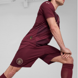 Manchester City Shorts Men 24/25 – Puma – 775114_03
