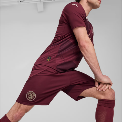 Manchester City Shorts Men 24/25 – Puma Official