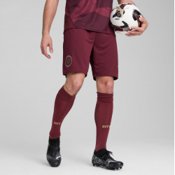 Manchester City Shorts Men 24/25 – Puma Official