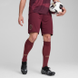 Manchester City Shorts Men 24/25 – Puma – 775114_03 Manchester City Shorts Men 24/25 – Puma – 775114_03