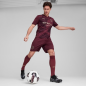 Manchester City Shorts Men 24/25 – Puma – 775114_03 Manchester City Shorts Men 24/25 – Puma – 775114_03