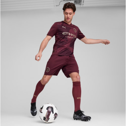 Manchester City Shorts Men 24/25 – Puma Official