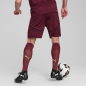 Manchester City Shorts Men 24/25 – Puma – 775114_03 Manchester City Shorts Men 24/25 – Puma – 775114_03