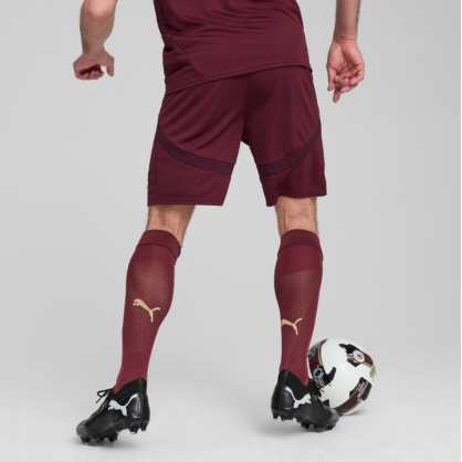 Manchester City Shorts Men 24/25 – Puma Official