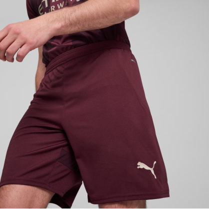 Manchester City Shorts Men 24/25 – Puma Official