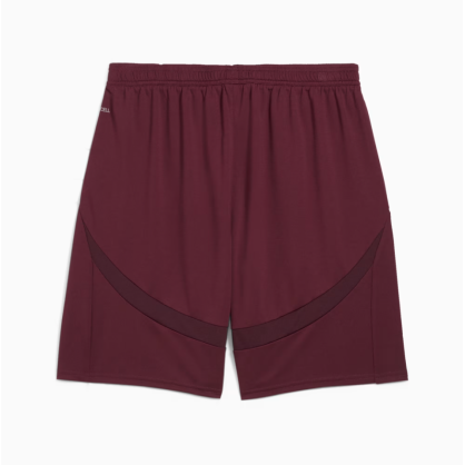 Manchester City Shorts Men 24/25 – Puma Official