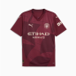 Manchester City 2024/25 Third Shirt for Men – Puma | 775201_03 Manchester City 2024/25 Third Shirt for Men – Puma | 775201_03