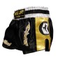 Muay Thai Short Gold Brave Art