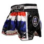 Brave Art Muay Thai Shorts – White, Blue & Red