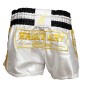 Brave Art Muay Thai Shorts Gold – White & Gold