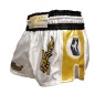 Brave Art Muay Thai Shorts Gold – White & Gold