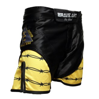 Brave Art Dares MMA Shorts