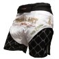 Brave Art MMA Octogone Shorts – White & Black
