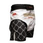 Brave Art MMA Octogone Shorts – White & Black