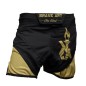 Brave Art MMA Shorts BG