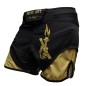 Brave Art MMA Shorts BG