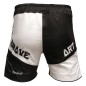 Brave Art Vale Tudo MMA Shorts Brave Art Vale Tudo MMA Shorts
