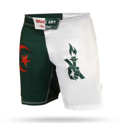 Brave Art MMA Shorts DZMSM | Algerian Colors Inspired | Official Shop