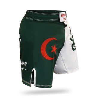 Brave Art MMA Shorts DZMSM | Algerian Colors Inspired | Official Shop