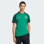 Algeria Away Jersey FAF Adidas JN4456 Black