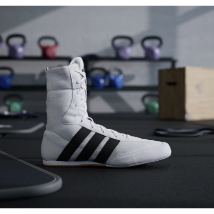 Chaussures Boxe adidas Box Hog Classic JS4436