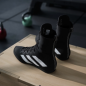 Box Hog 4 Boxing Shoes