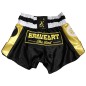 Brave Art Muay Thai Gold Shorts – Black & Gold Brave Art Muay Thai Gold Shorts – Black & Gold