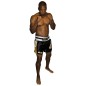 Muay Thai Short Gold Brave Art - BATHSHG Muay Thai Short Gold Brave Art - BATHSHG