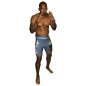 Short de MMA Compression Kamon Brave Art - BASHCOKA Short de MMA Compression Kamon Brave Art - BASHCOKA