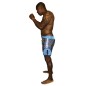 Short de MMA Kamon Brave Art - BAMMSHKA Short de MMA Kamon Brave Art - BAMMSHKA