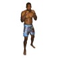 Brave Art Kamon MMA Shorts