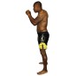 Short de MMA Dares Brave Art - BAMMSHDA Short de MMA Dares Brave Art - BAMMSHDA