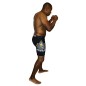 Short de MMA Compression Dares Brave Art
