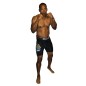 Short de MMA Compression Dares Brave Art