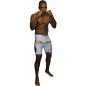 Short de MMA Compression Octogone Brave Art - BASHCOOCT Short de MMA Compression Octogone Brave Art - BASHCOOCT