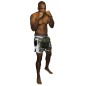 Brave Art Muay Thai World Shorts – Khaki & White