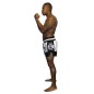 Brave Art Muay Thai Light Night Shorts – Black & White – BATSLN Brave Art Muay Thai Light Night Shorts – Black & White – BATSLN